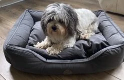 Petlando Hondenbed Paul Antraciet