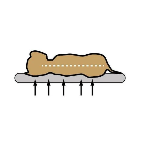 Petlando Havanna Ortho Grijs - Afbeelding 2