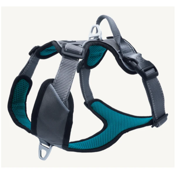 Petlando Outdoor Harnas L Petrol Borst 68x82cm - Afbeelding 2