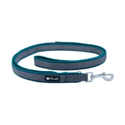 Petlando Verstelbare Hondenlijn Outdoor Petrol