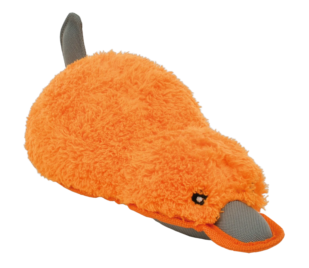 Petlando Floaterz Ralphi