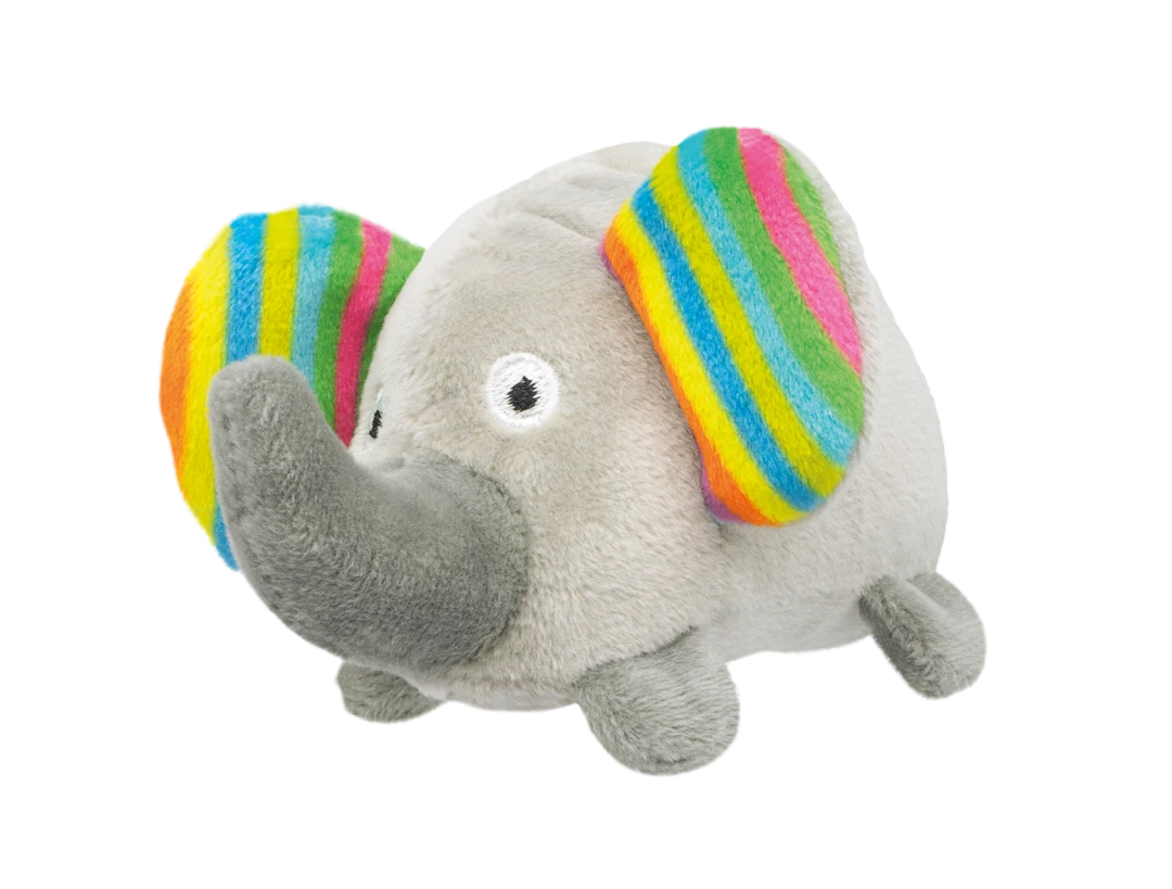 Petlando Lari Safari Eliza Met Catnip