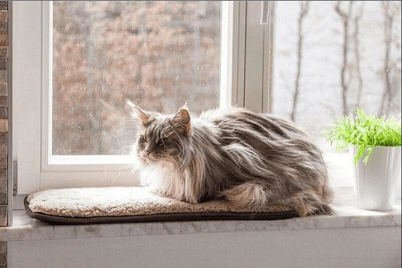 Petlando Windowchiller Cappuccino - Afbeelding 2