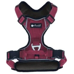 Petlando Outdoor Harness Berry